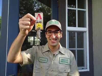 Greensboro pest control